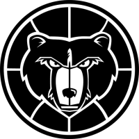 Former team badge icon