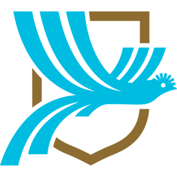 away team icon