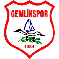 Team Badge