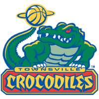 Former team badge icon