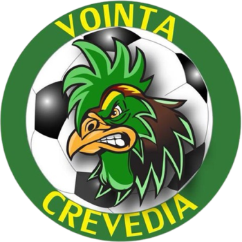 Team Badge