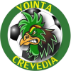Voința Crevedia badge