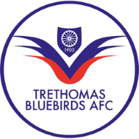 Trethomas Bluebirds badge