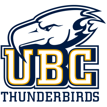 team badge