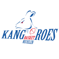 Former team badge icon