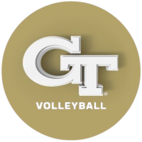 Former team badge icon