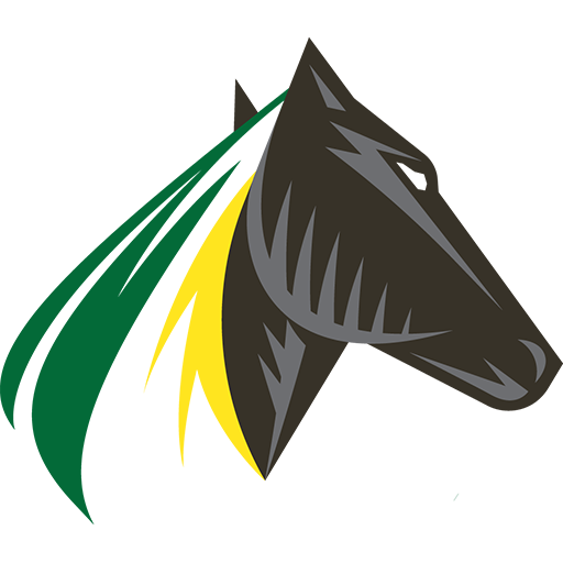 Team Badge icon