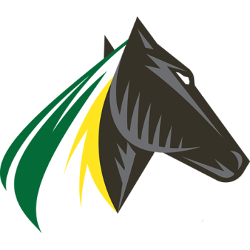 team badge