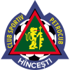 tiny home badge icon