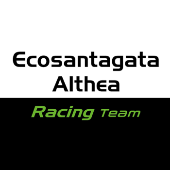 Team Badge