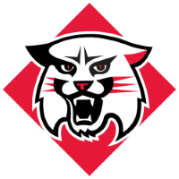 Former team badge icon