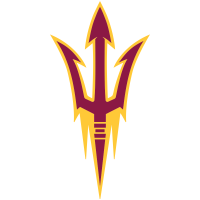 Former team badge icon