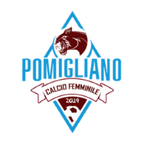 Former team badge icon