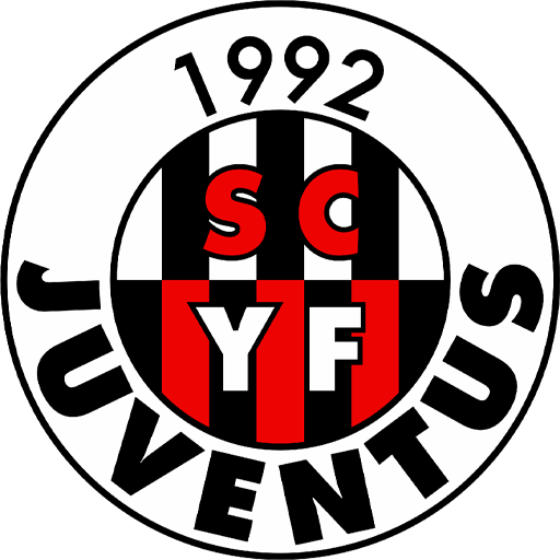 Team Badge icon