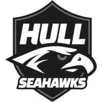 Former team badge icon