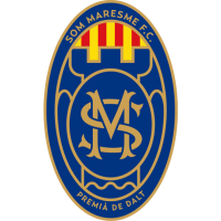 Team Badge