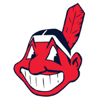 Former team badge icon