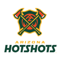 Former team badge icon