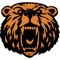 Former team badge icon