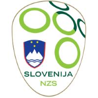 Former team badge icon