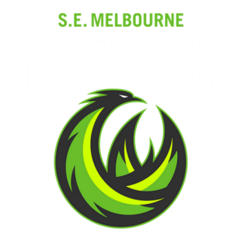team badge