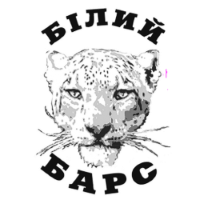 Former team badge icon