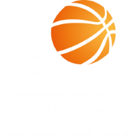Former team badge icon