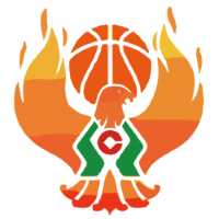 Former team badge icon