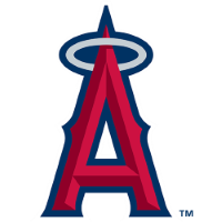 team badge