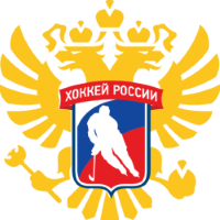 Former team badge icon