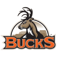 Former team badge icon