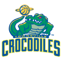 Former team badge icon