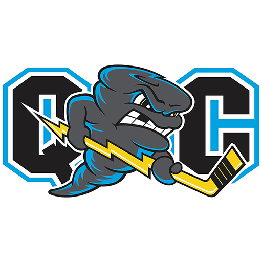 Team Badge icon
