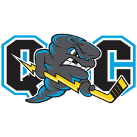 Team Badge