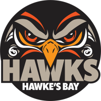 Former team badge icon