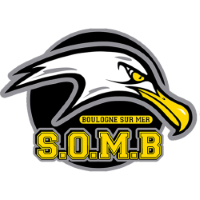 Former team badge icon