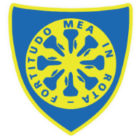 Former team badge icon