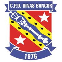 Former team badge icon