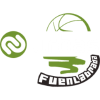 Former team badge icon