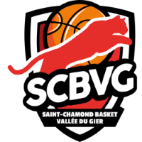 Former team badge icon