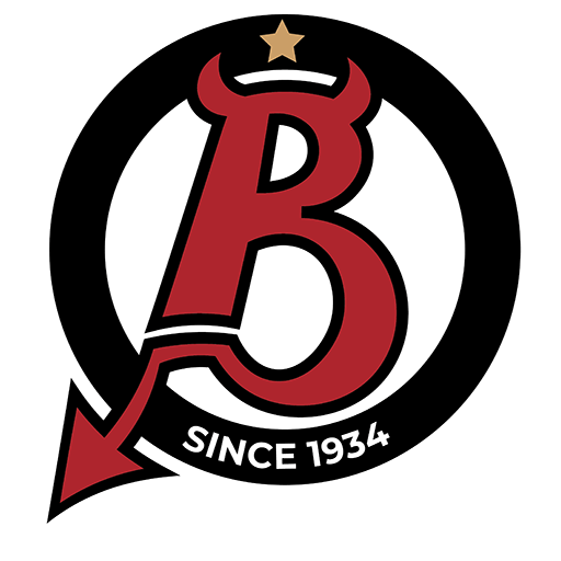 Team Badge icon