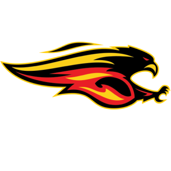 Team Badge