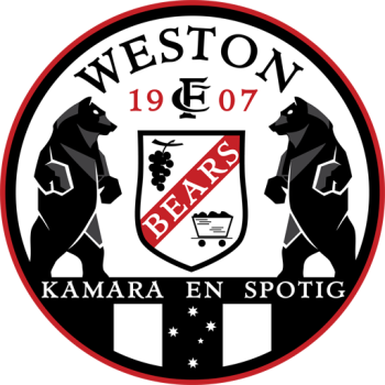 home team badge