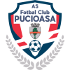 Pucioasa badge
