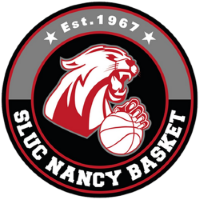 Former team badge icon