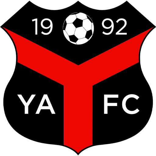 Ynyshir Albions 隊徽