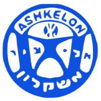 Former team badge icon