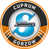 tiny home badge icon