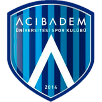 Former team badge icon