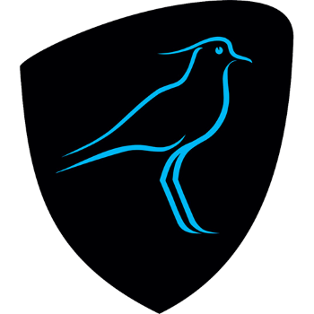 team badge